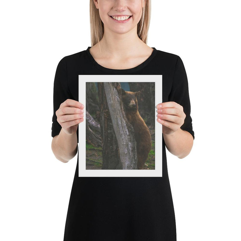 Bear Hug - Go Wild Photography [description]  [price]