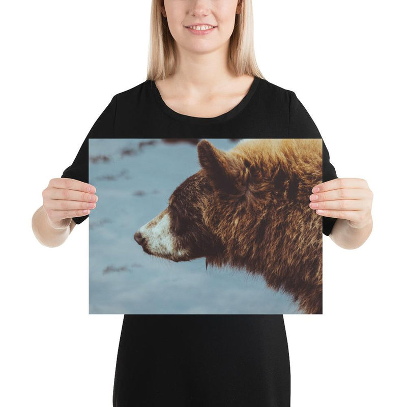 Pretty Girl - Go Wild Photography [description]  [price]