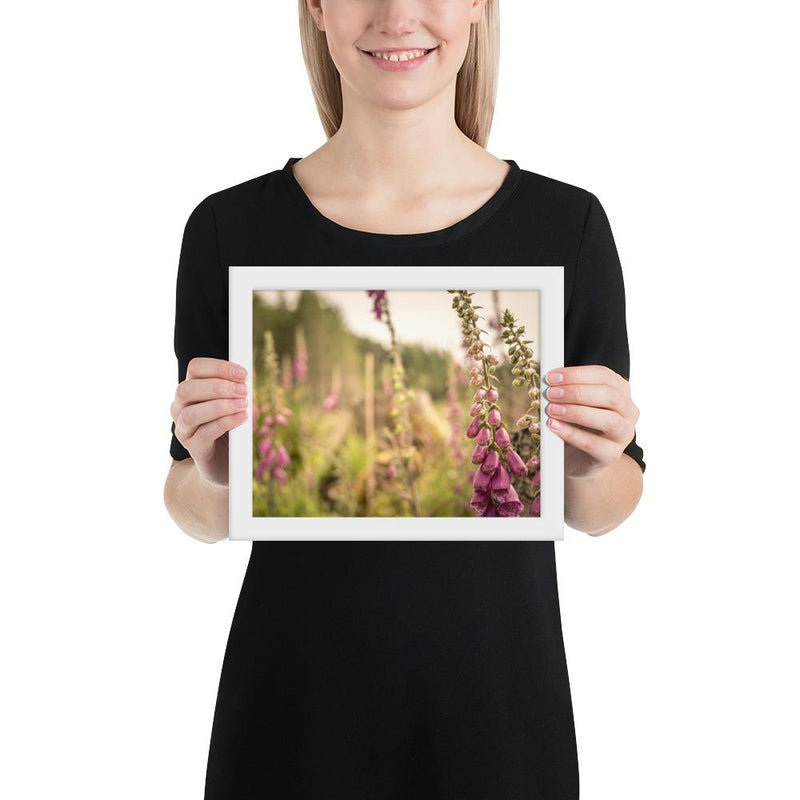 Fox Gloves - Go Wild Photography [description]  [price]