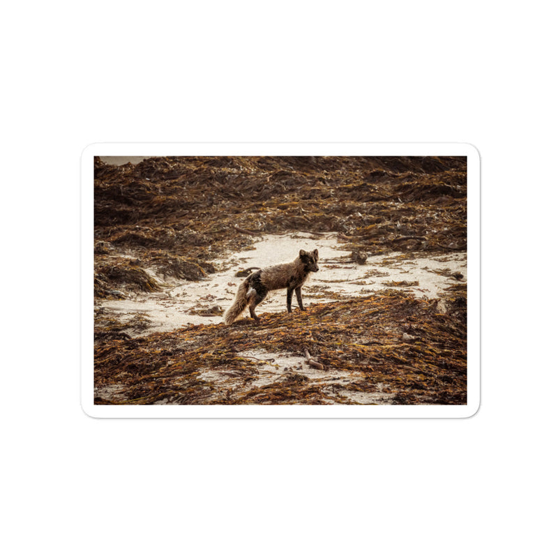 Vulpes Bubble-free stickers - Go Wild Photography [description]  [price]