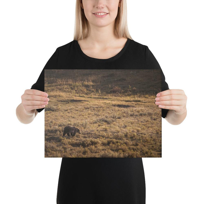 Grizzly - Go Wild Photography [description]  [price]