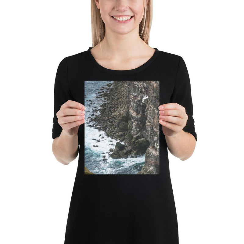 Gull Gulley - Go Wild Photography [description]  [price]