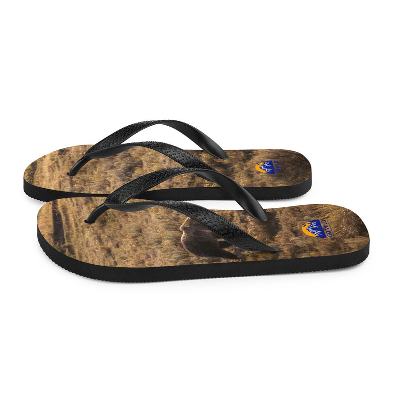 Grizzly Flip-Flops - Go Wild Photography [description]  [price]