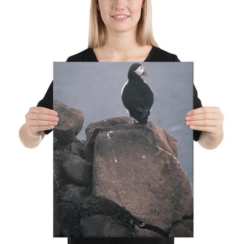 Lone Puffin - Go Wild Photography [description]  [price]