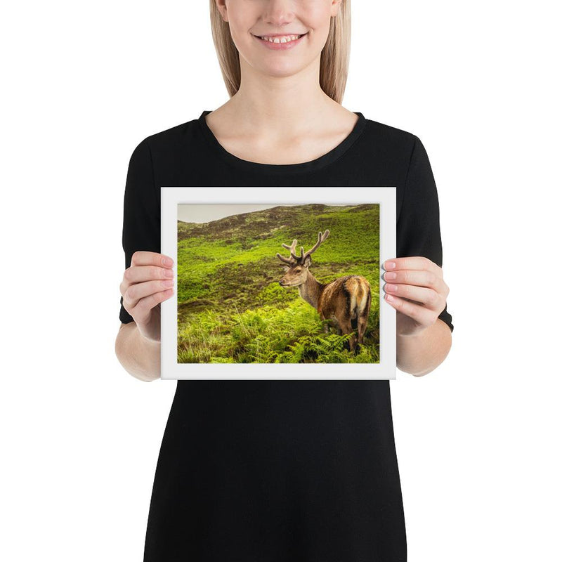 Prince of the Forest - Go Wild Photography [description]  [price]