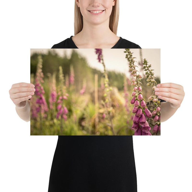 Fox Gloves - Go Wild Photography [description]  [price]
