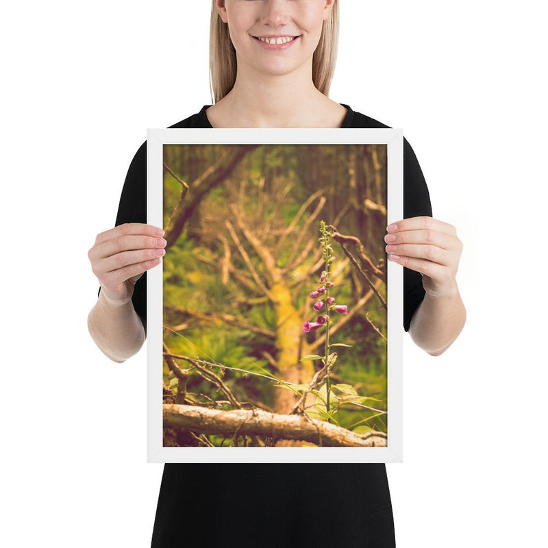 Life Finds a Way - Go Wild Photography [description]  [price]