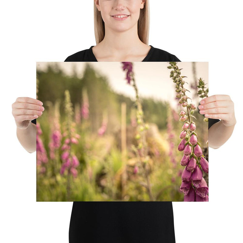Fox Gloves - Go Wild Photography [description]  [price]