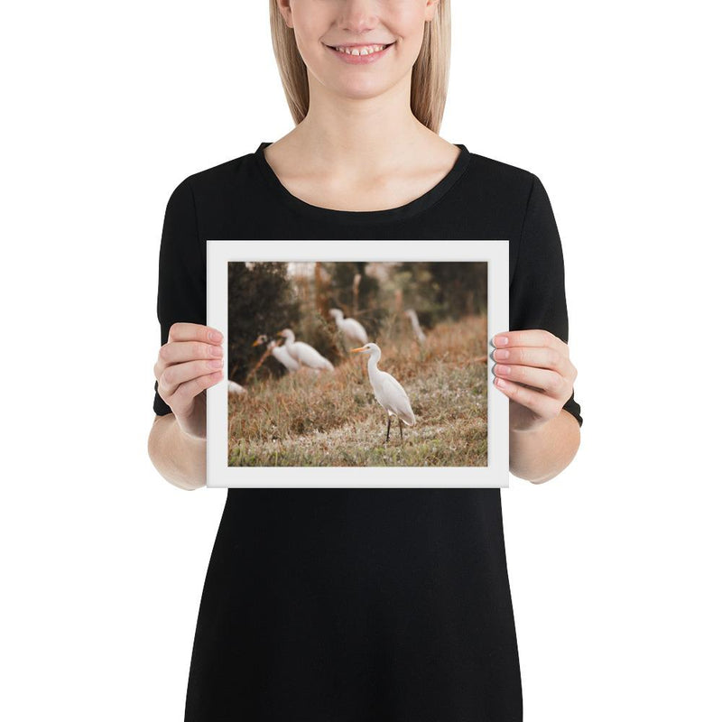 Winter Egret - Go Wild Photography [description]  [price]
