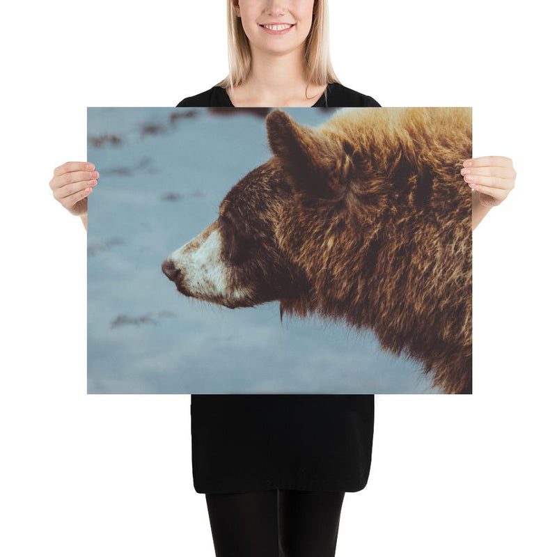 Pretty Girl - Go Wild Photography [description]  [price]