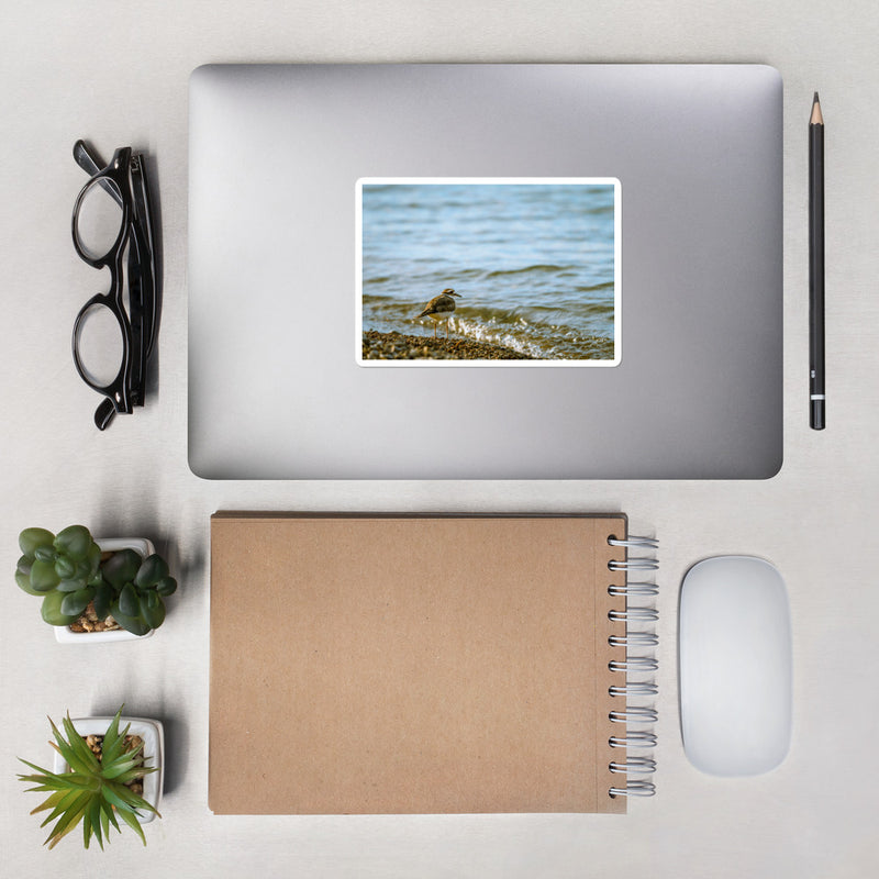 Sand Piper Bubble-free stickers - Go Wild Photography [description]  [price]