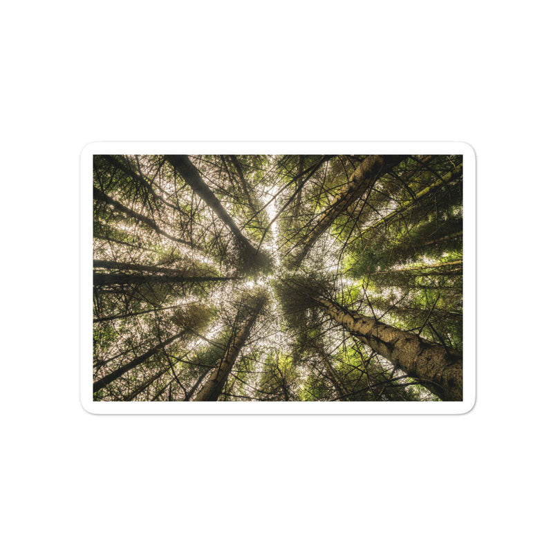 The Most Remote Woods in Scotland Bubble-free stickers - Go Wild Photography [description]  [price]