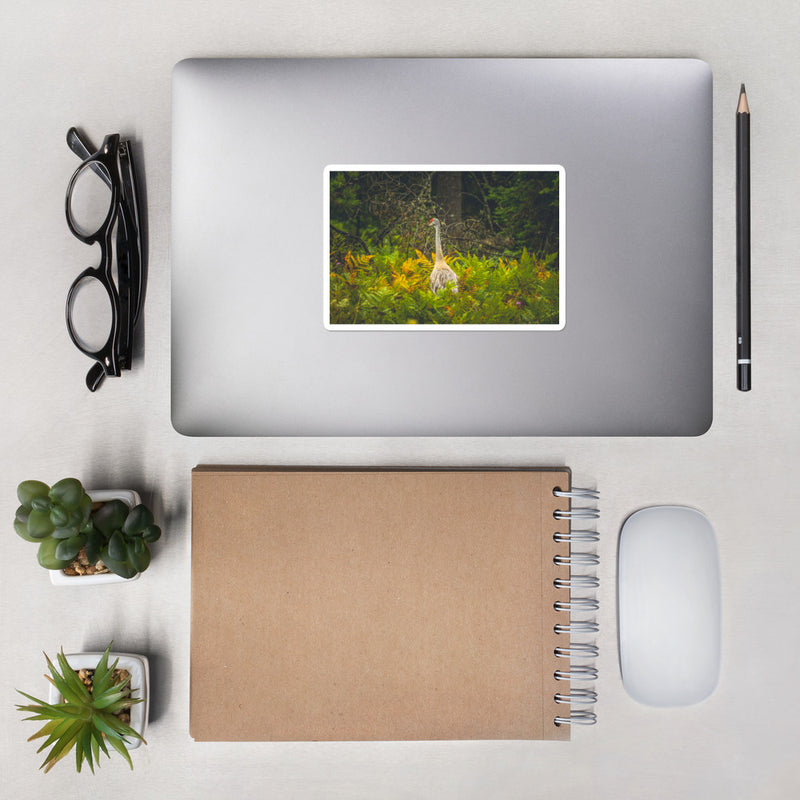 Sandhill Crane Bubble-free stickers - Go Wild Photography [description]  [price]