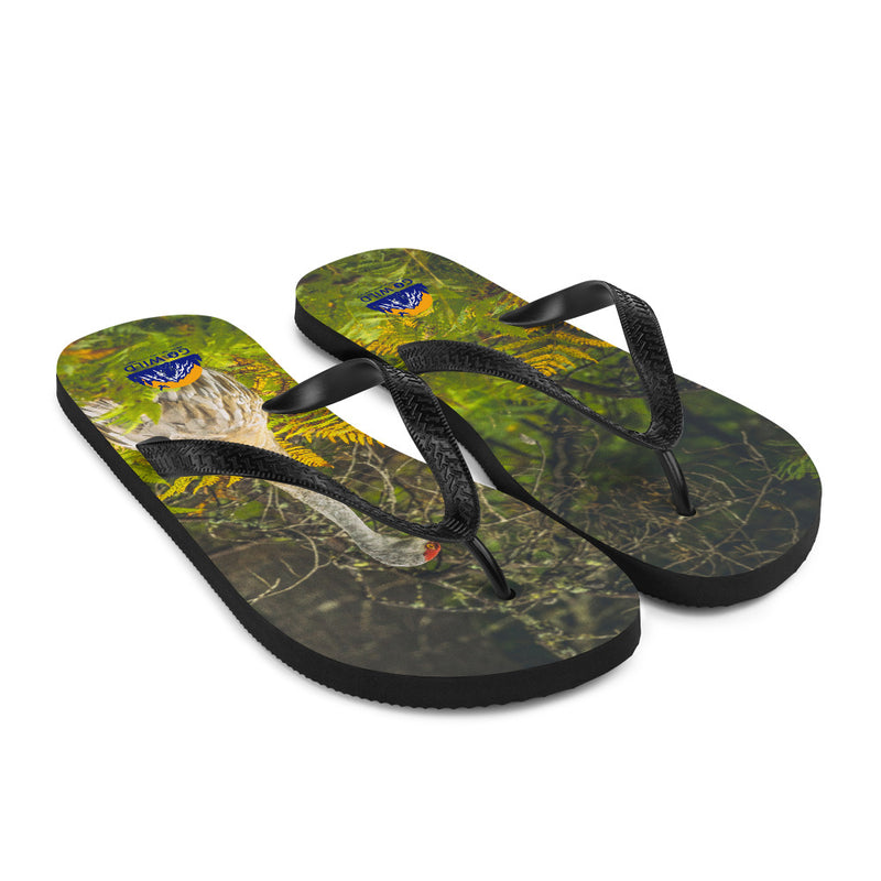 Sandhill Crane Flip-Flops - Go Wild Photography [description]  [price]