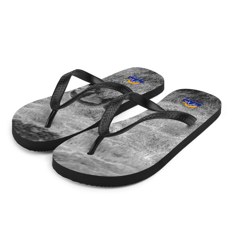 Black and Arctic Fox Flip-Flops - Go Wild Photography [description]  [price]