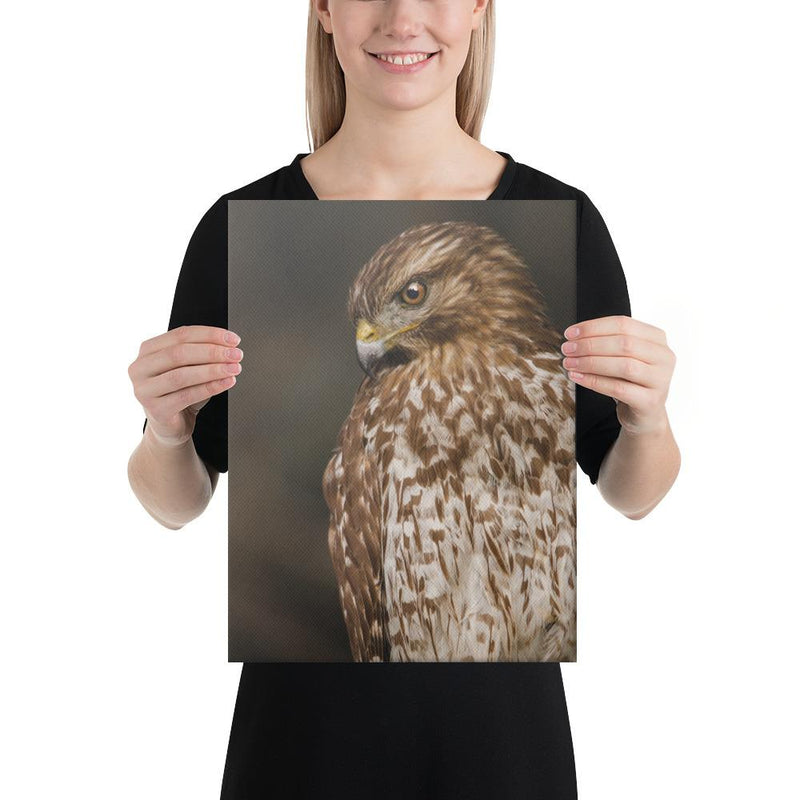 Red Shouldered Hawk - Go Wild Photography [description]  [price]