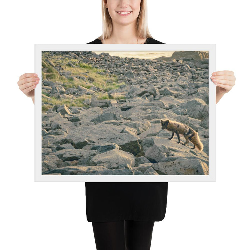 Arctic Fox - Go Wild Photography [description]  [price]