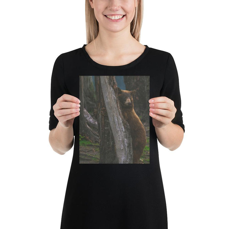 Bear Hug - Go Wild Photography [description]  [price]