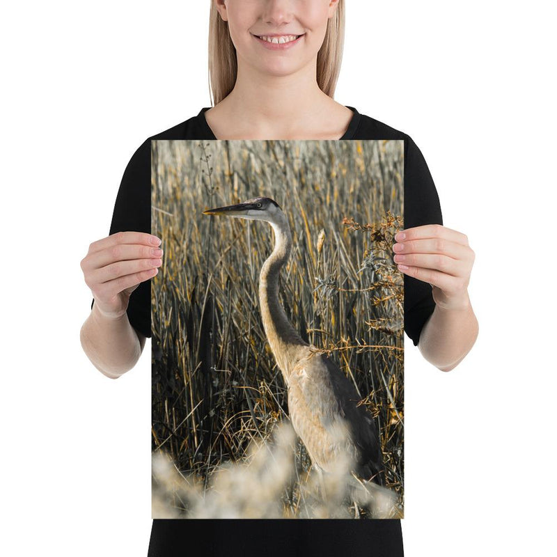 Heron - Go Wild Photography [description]  [price]