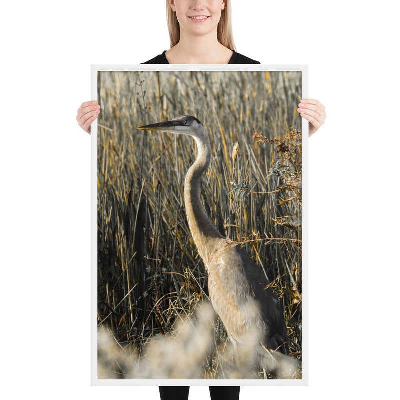 Heron - Go Wild Photography [description]  [price]