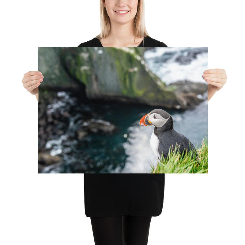 Puffin Cliffs - Go Wild Photography [description]  [price]