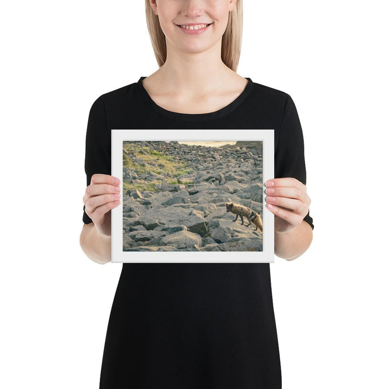 Arctic Fox - Go Wild Photography [description]  [price]