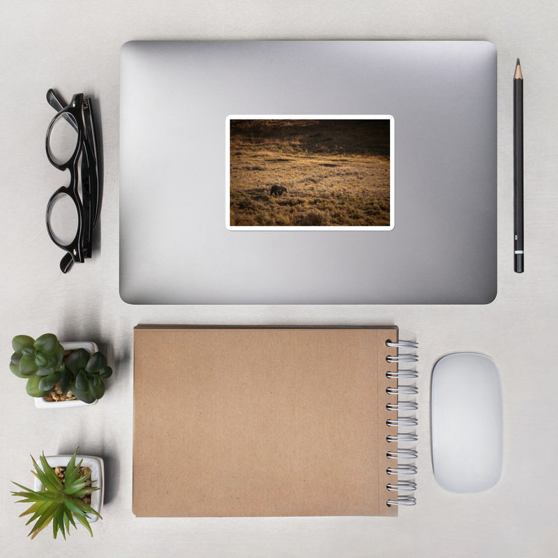 Grizzly Bubble-free stickers - Go Wild Photography [description]  [price]