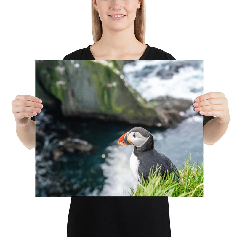 Puffin Cliffs - Go Wild Photography [description]  [price]