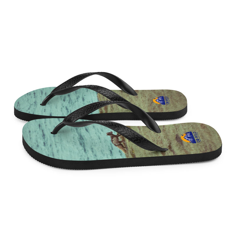 Gorged Flip-Flops - Go Wild Photography [description]  [price]