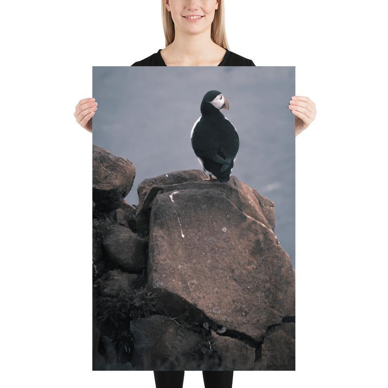 Lone Puffin - Go Wild Photography [description]  [price]