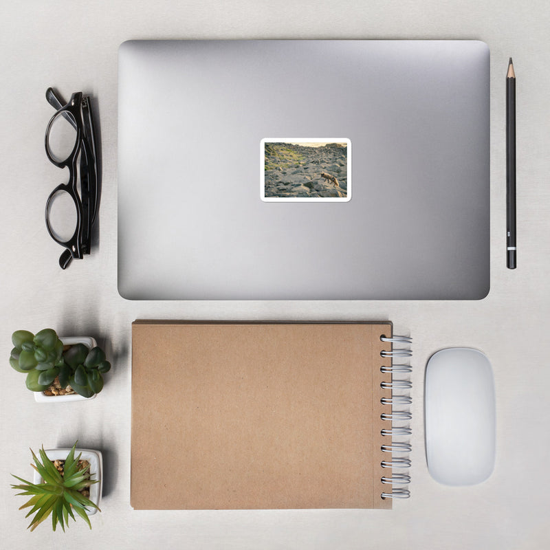 Arctic Fox Bubble-free stickers - Go Wild Photography [description]  [price]