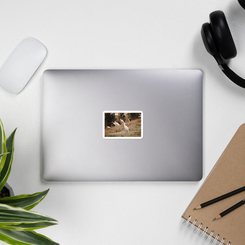 Winter Egret Bubble-free stickers - Go Wild Photography [description]  [price]