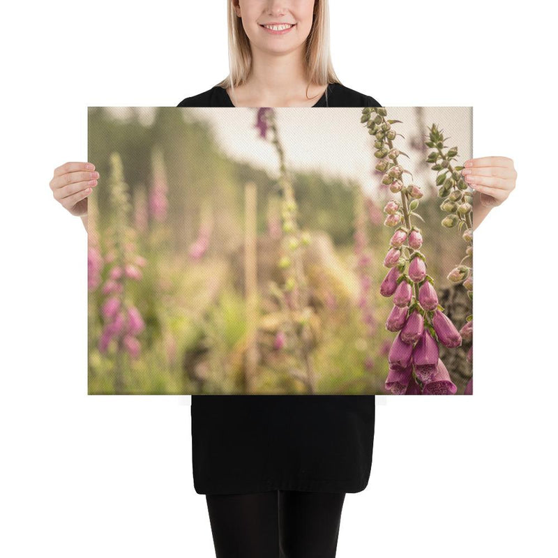 Fox Gloves - Go Wild Photography [description]  [price]