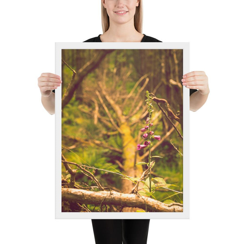 Life Finds a Way - Go Wild Photography [description]  [price]