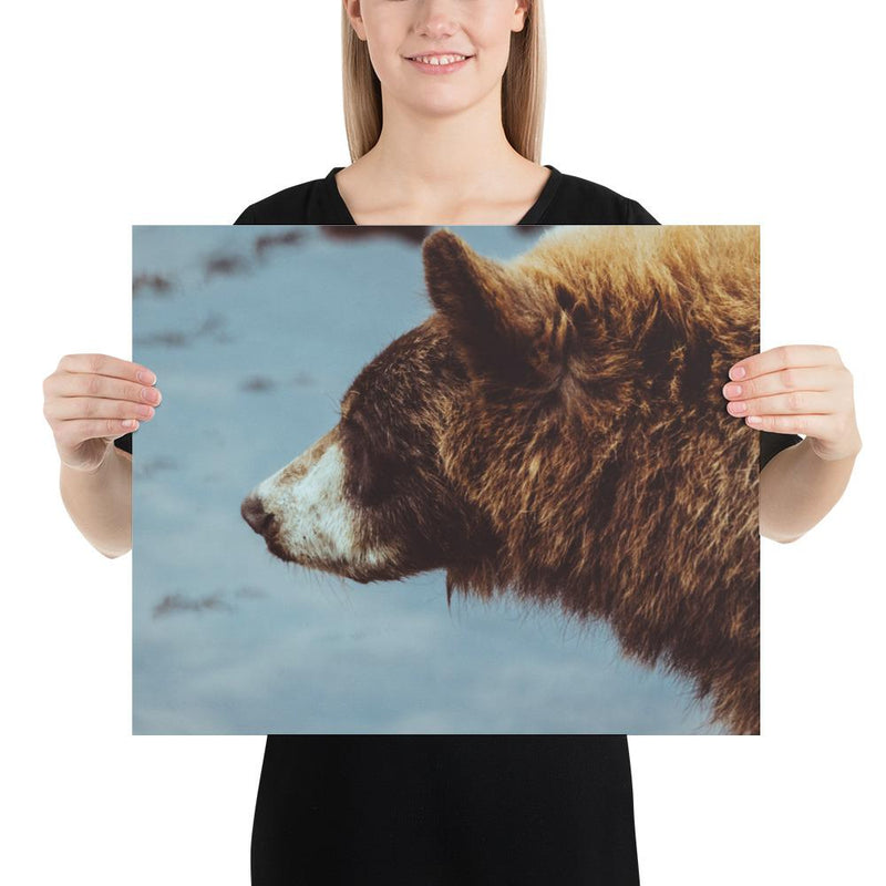 Pretty Girl - Go Wild Photography [description]  [price]
