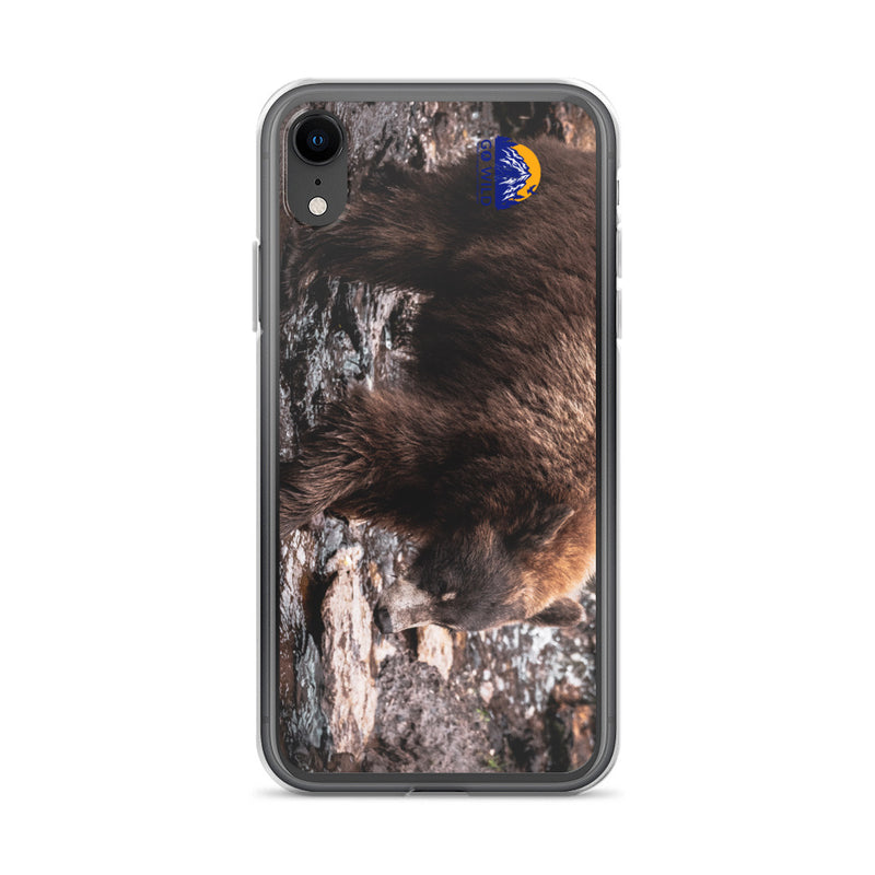 Morning Stroll iPhone Case - Go Wild Photography [description]  [price]