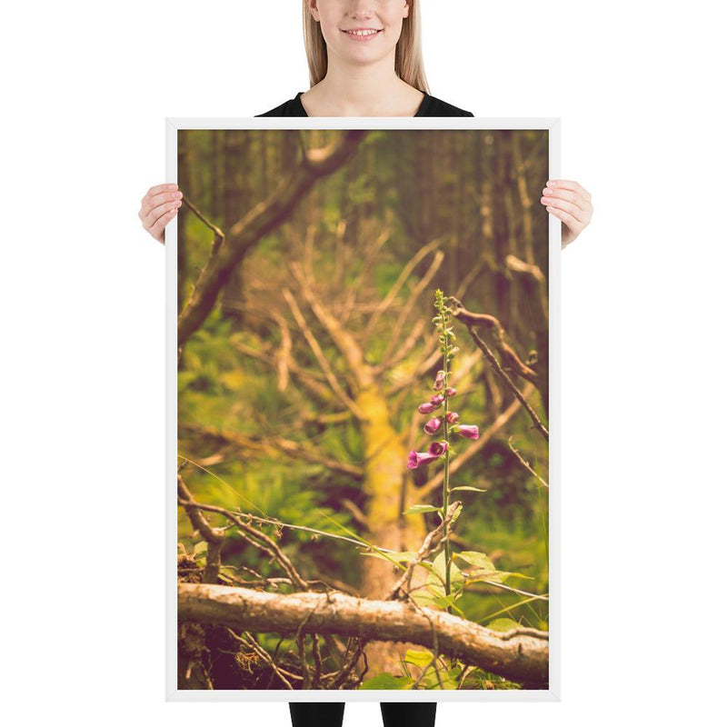 Life Finds a Way - Go Wild Photography [description]  [price]