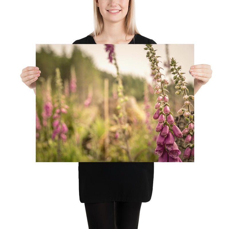 Fox Gloves - Go Wild Photography [description]  [price]