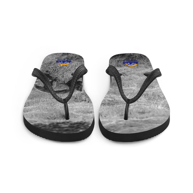 Black and Arctic Fox Flip-Flops - Go Wild Photography [description]  [price]