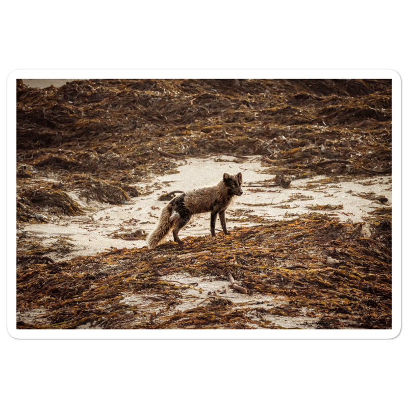 Vulpes Bubble-free stickers - Go Wild Photography [description]  [price]