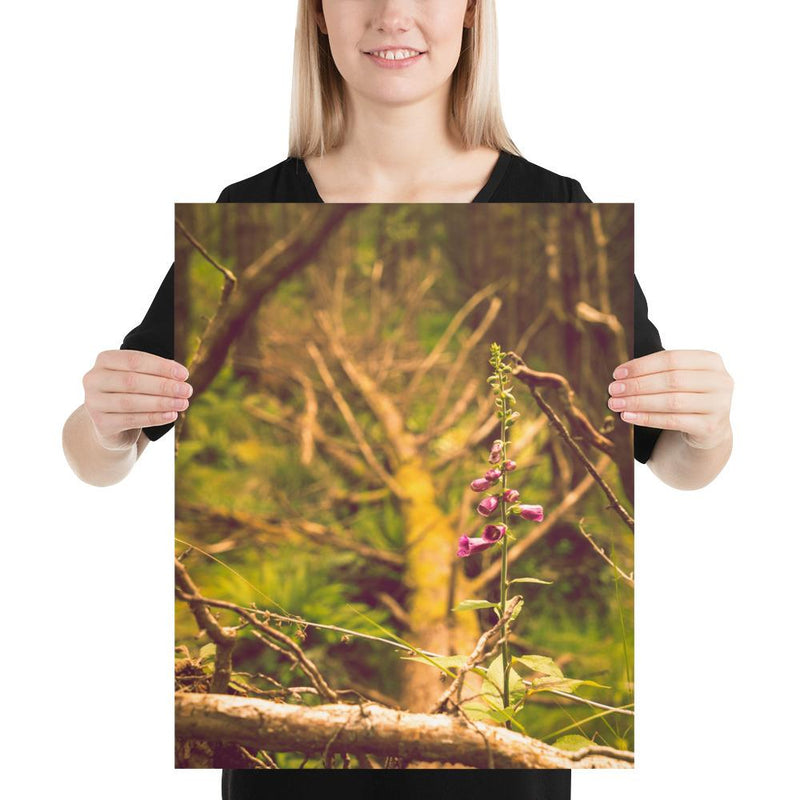 Life Finds a Way - Go Wild Photography [description]  [price]