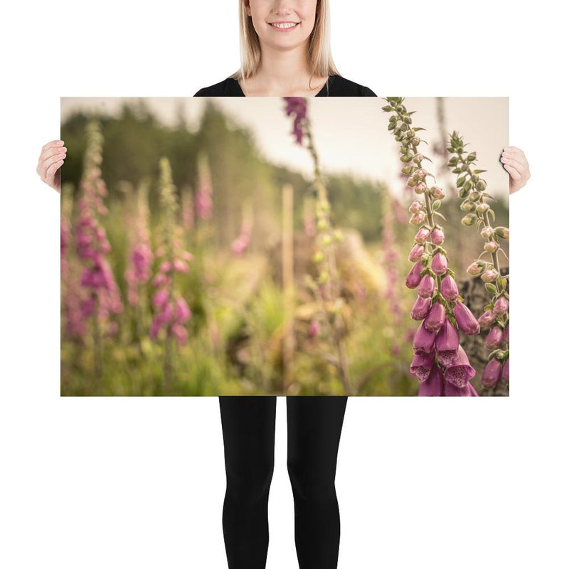 Fox Gloves - Go Wild Photography [description]  [price]