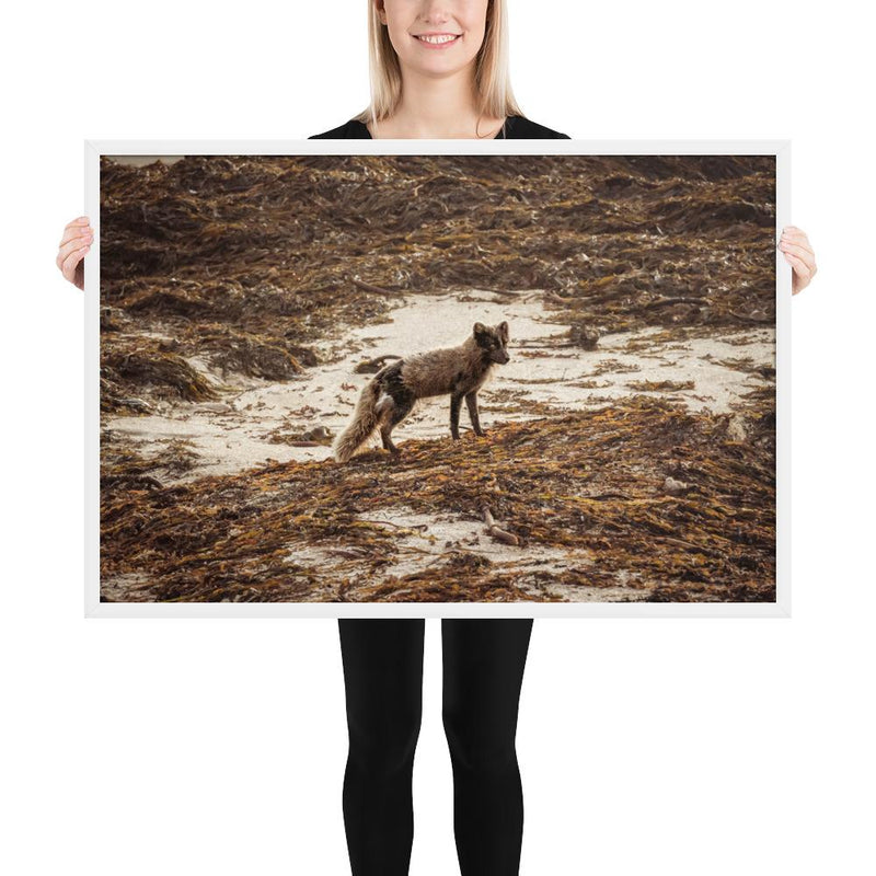 Vulpes - Go Wild Photography [description]  [price]