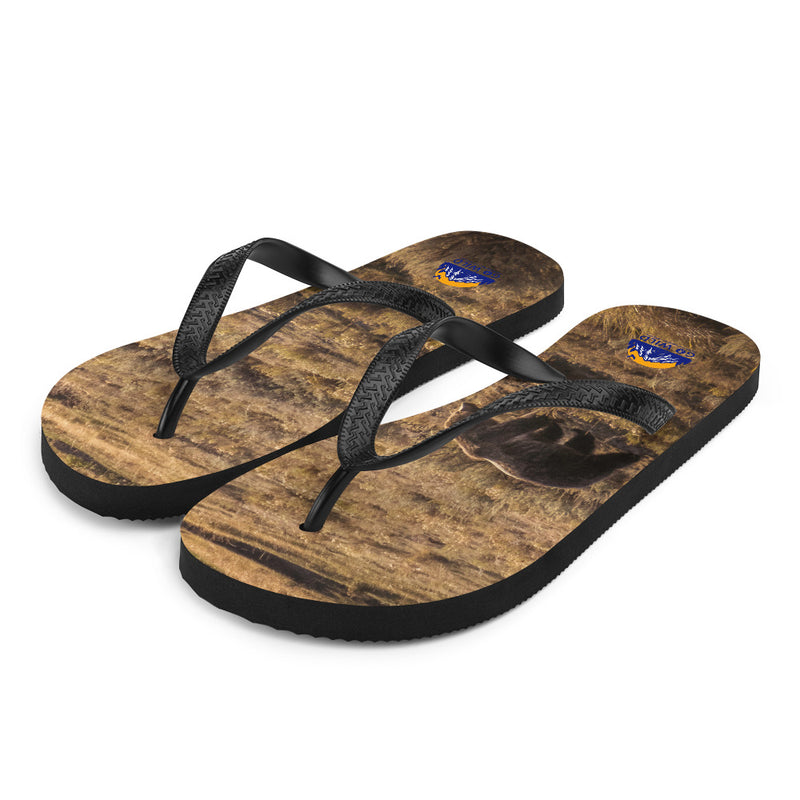 Grizzly Flip-Flops - Go Wild Photography [description]  [price]