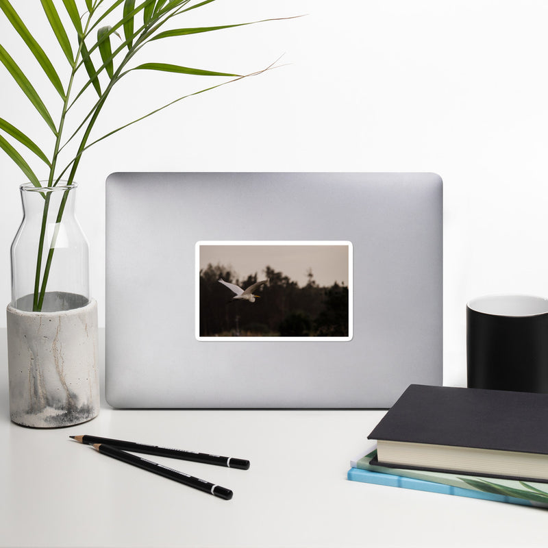 Cattle Egret Bubble-free stickers - Go Wild Photography [description]  [price]