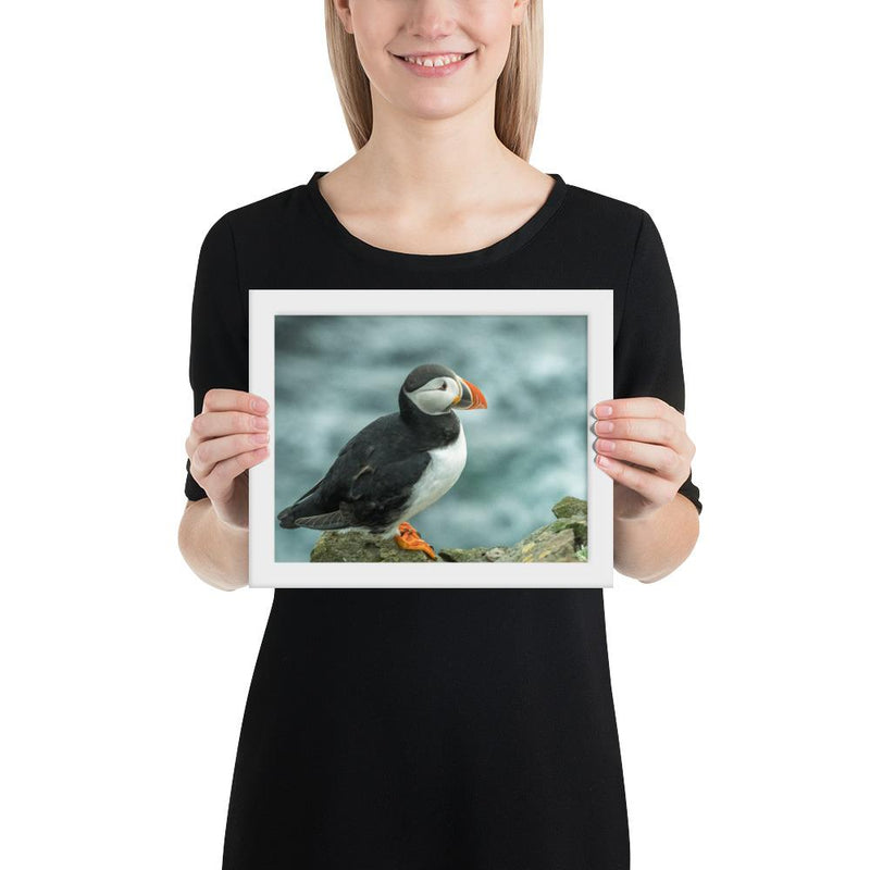 Atlantic Puffin - Go Wild Photography [description]  [price]