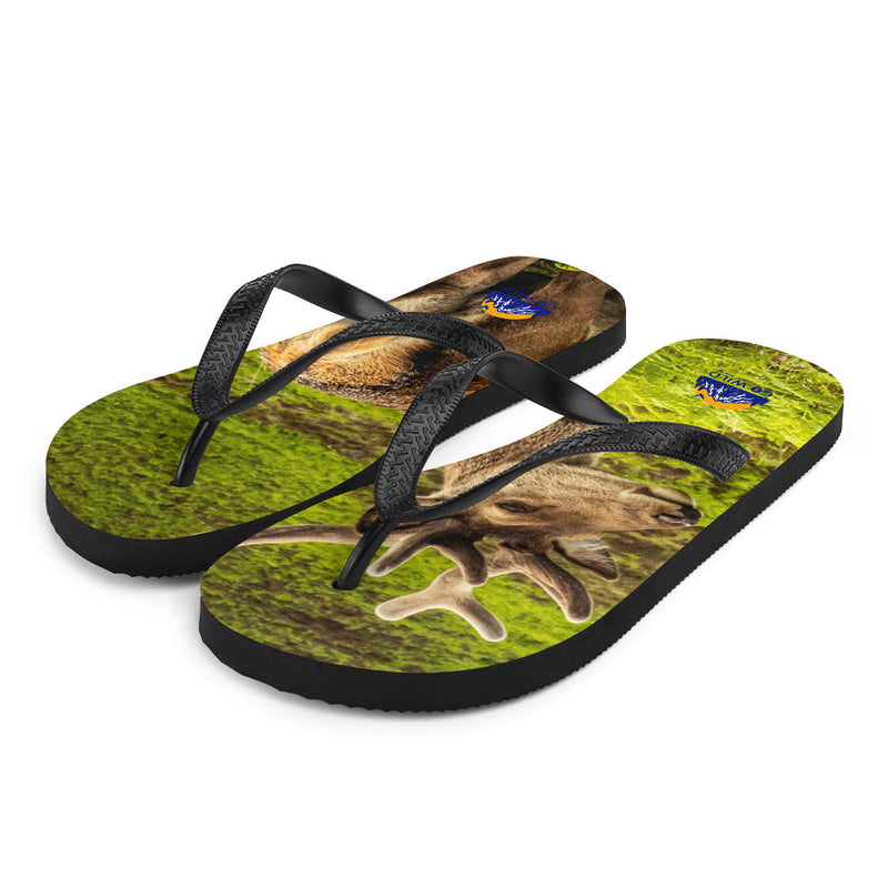 Prince of the Forest Flip-Flops - Go Wild Photography [description]  [price]