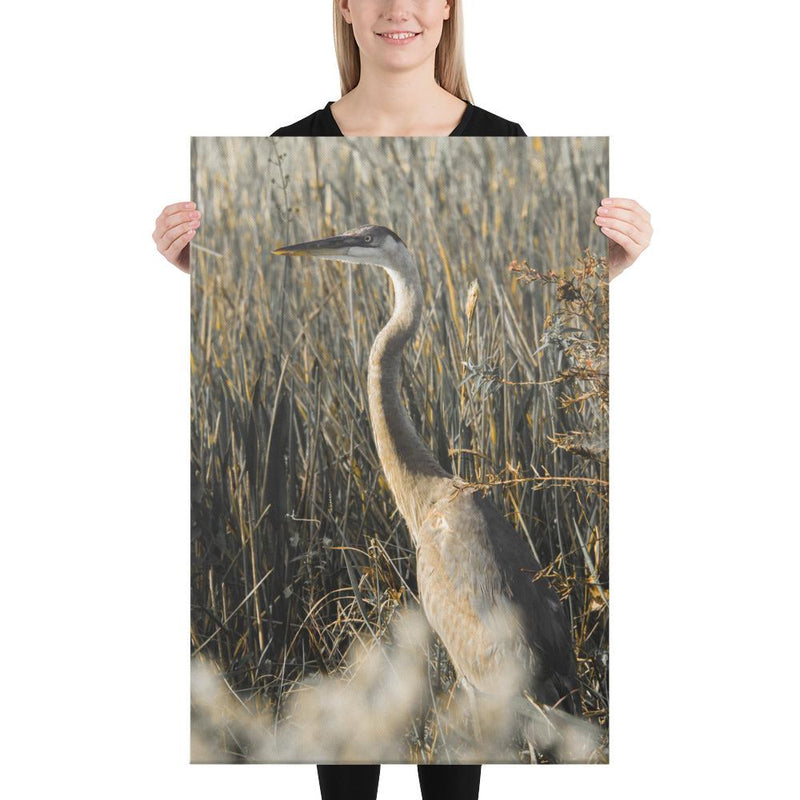 Heron - Go Wild Photography [description]  [price]