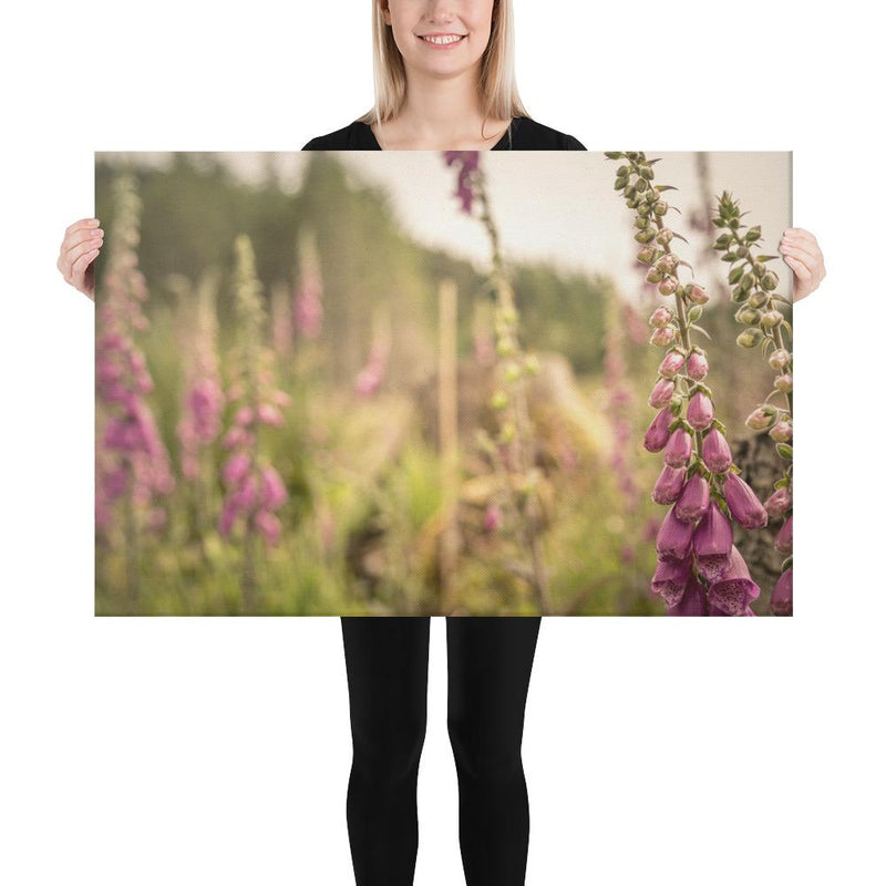 Fox Gloves - Go Wild Photography [description]  [price]