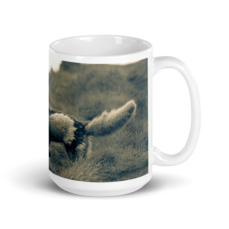 Crazy Like a Fox Mug - Go Wild Photography [description]  [price]